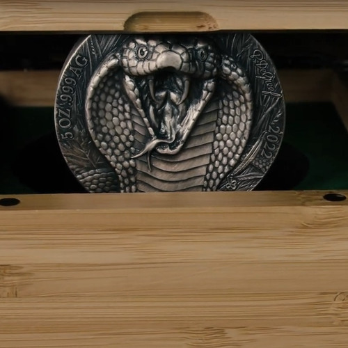 King cobra 2nd - cobra, big