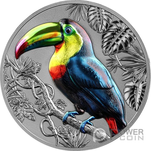 Rainbow toucan representatives - toucan,