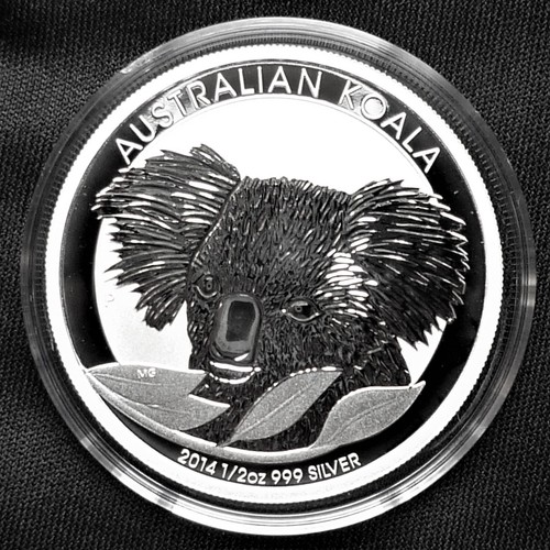 Australian koala 2014 2 - australian,