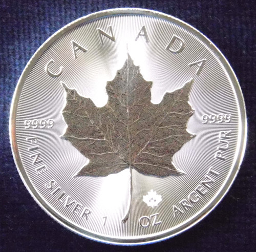 Kanada silber maple - kanada, 1