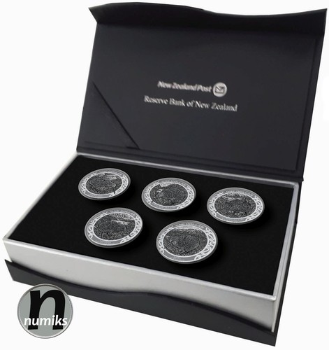 Kiwi specimen set - 2,5,