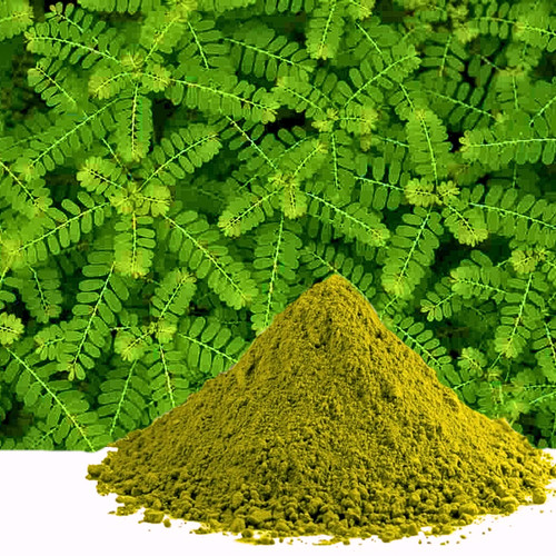 Chanca piedra blattpulver - chanca,