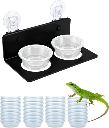 100 stück gecko - stück,